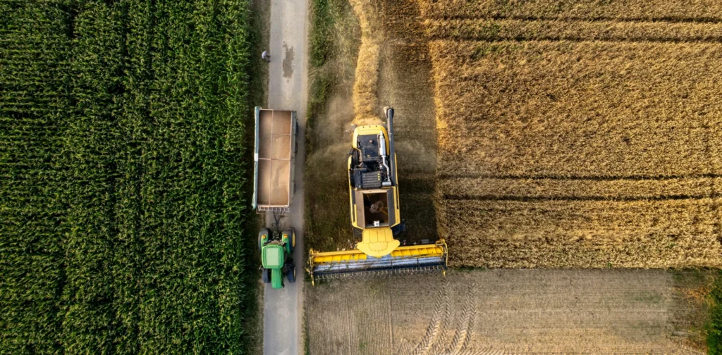 fotodari atas udara mesin pemanen gabungan dan traktor dengan trailer yang bekerja di ladang yang berdekatan, satu berwarna hijau dan yang lainnya berwarna keemasan
