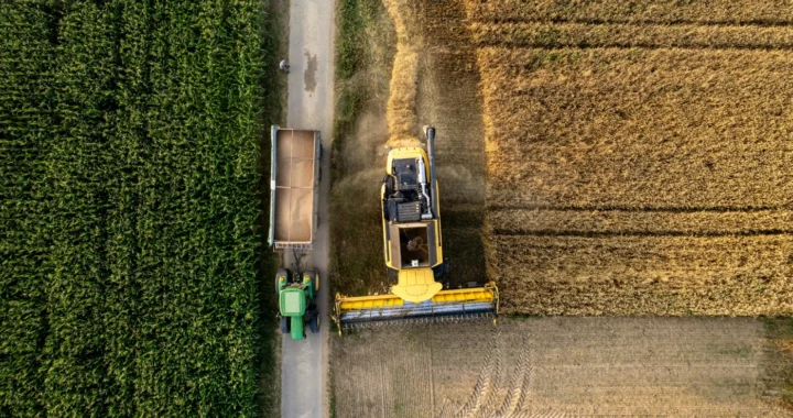 fotodari atas udara mesin pemanen gabungan dan traktor dengan trailer yang bekerja di ladang yang berdekatan, satu berwarna hijau dan yang lainnya berwarna keemasan