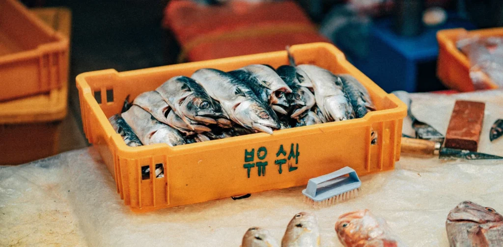 Sebuah nampan berisi ikan yang di sekitarnya terdapat sikat, pisau, dan makanan laut lainnya.