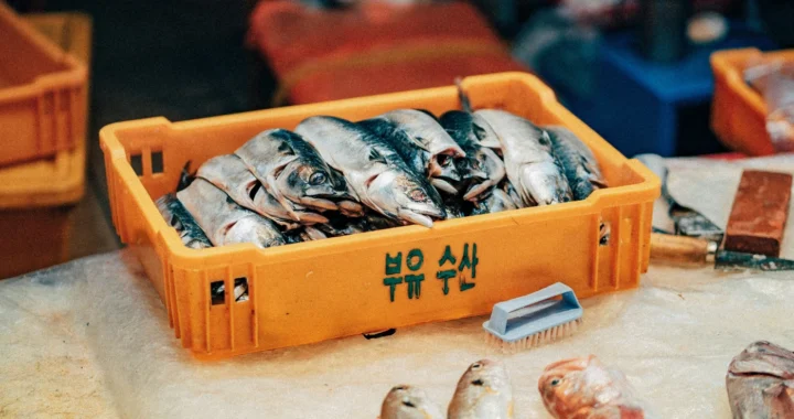 Sebuah nampan berisi ikan yang di sekitarnya terdapat sikat, pisau, dan makanan laut lainnya.