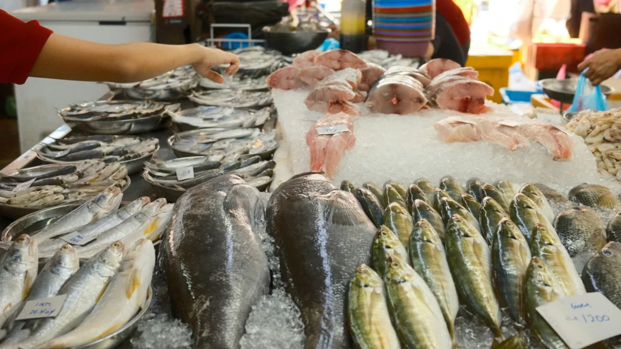meja dengan berbagai ikan segar tersusun di atasnya