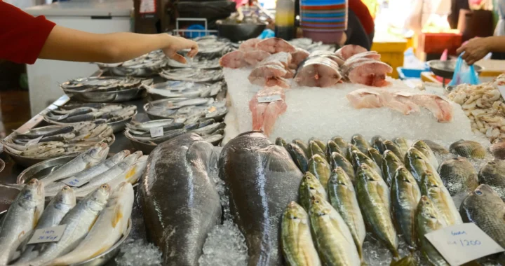meja dengan berbagai ikan segar tersusun di atasnya