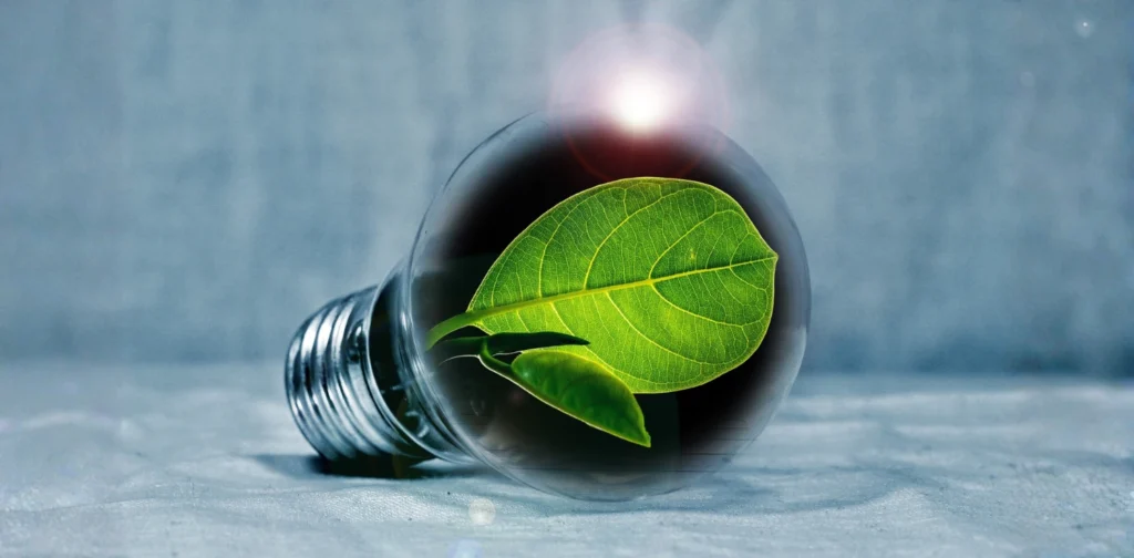 Sebuah bola lampu kaca berisi daun hijau, diletakkan di atas permukaan berwarna abu-abu.