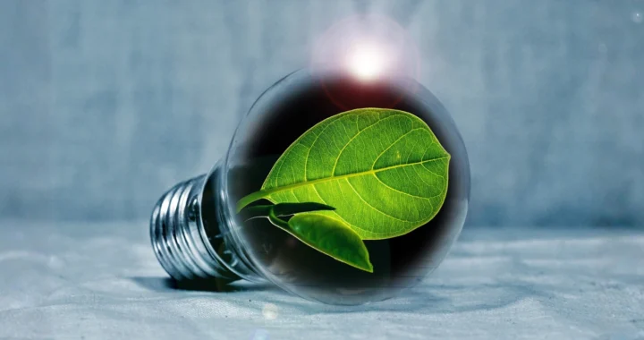 Sebuah bola lampu kaca berisi daun hijau, diletakkan di atas permukaan berwarna abu-abu.