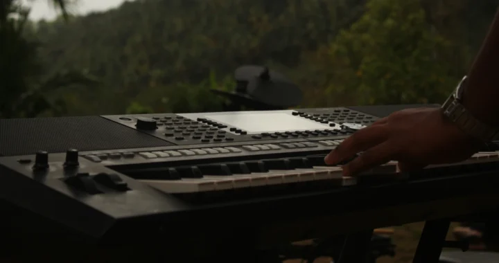 tangan memainkan keyboard di hadapan hutan