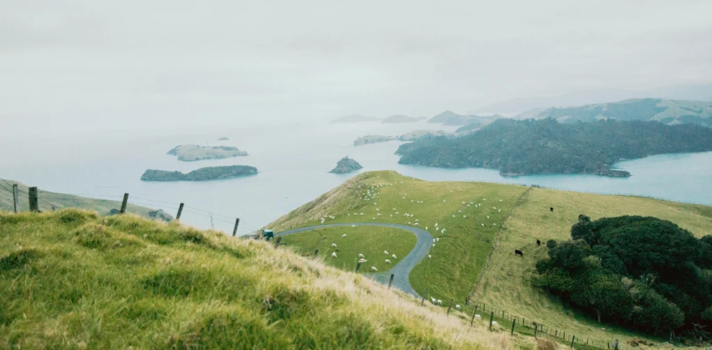 Padang rumput dengan perbukitan dan pulau-pulau kecil di perairan