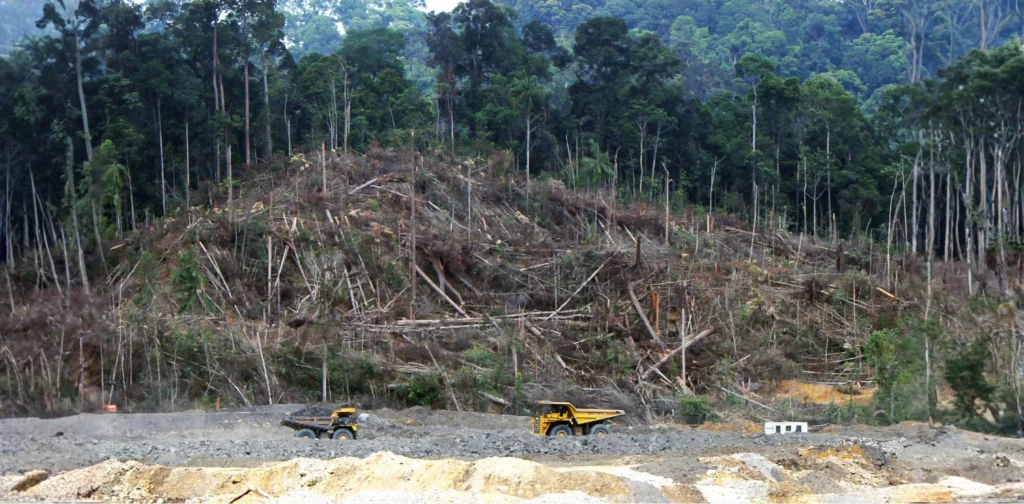 Dua kendaraan berat dan kerusakan hutan di belakangnya.