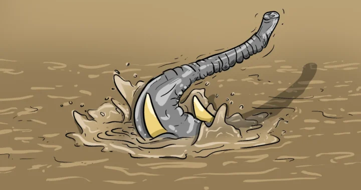 Gajah tenggelam dalam banjir