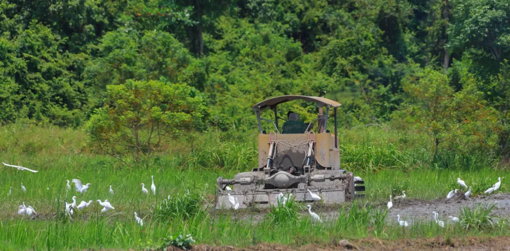 alat pembajak di tengah lahan hijau dengan latar hutan