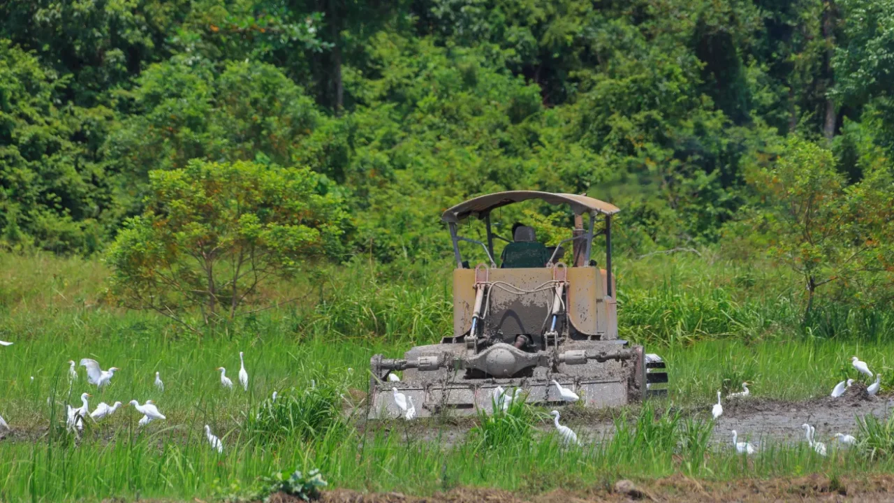 alat pembajak di tengah lahan hijau dengan latar hutan