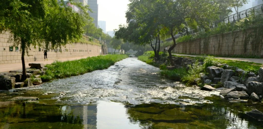 Sungai Cheonggyecheon dengan tanaman hijau di kedua sisinya, sebuah bangunan di sebelah kiri dan jalan di sebelah kanan