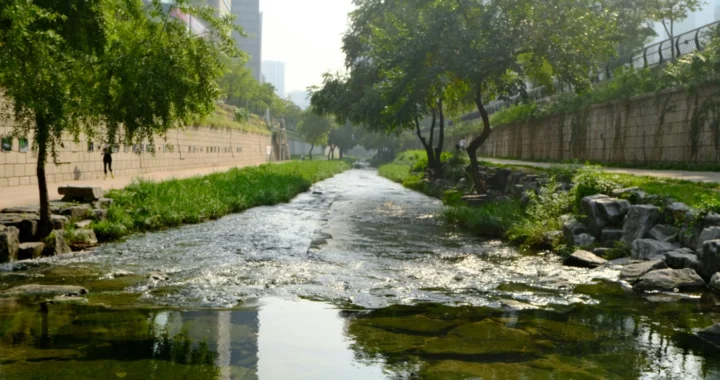 Sungai Cheonggyecheon dengan tanaman hijau di kedua sisinya, sebuah bangunan di sebelah kiri dan jalan di sebelah kanan