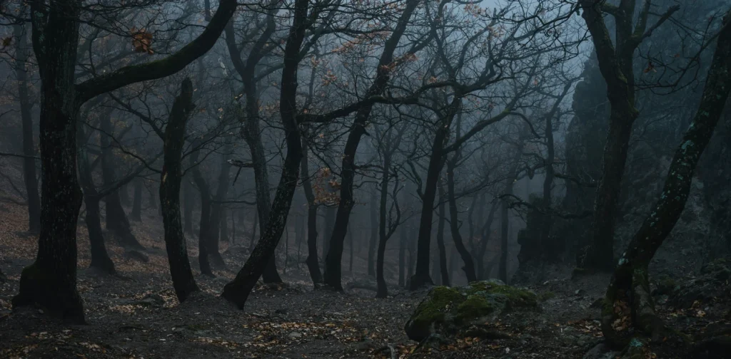 deretan pepohonan dengan sedikit daun dengan latar asap