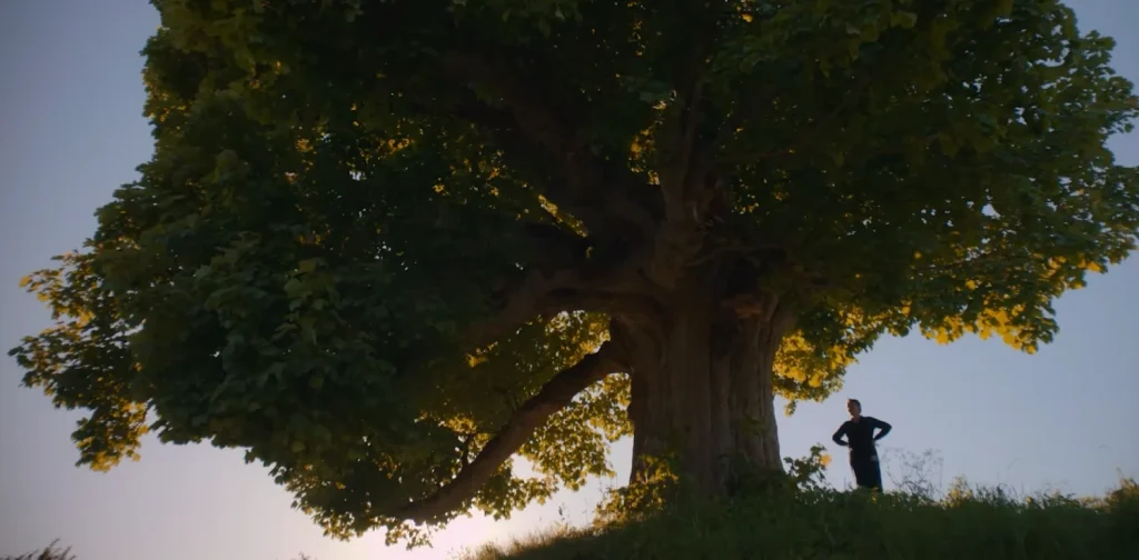 Siluet orang berdiri di samping pohon besar dengan cabang yang menjulur lebar di bawah langit senja