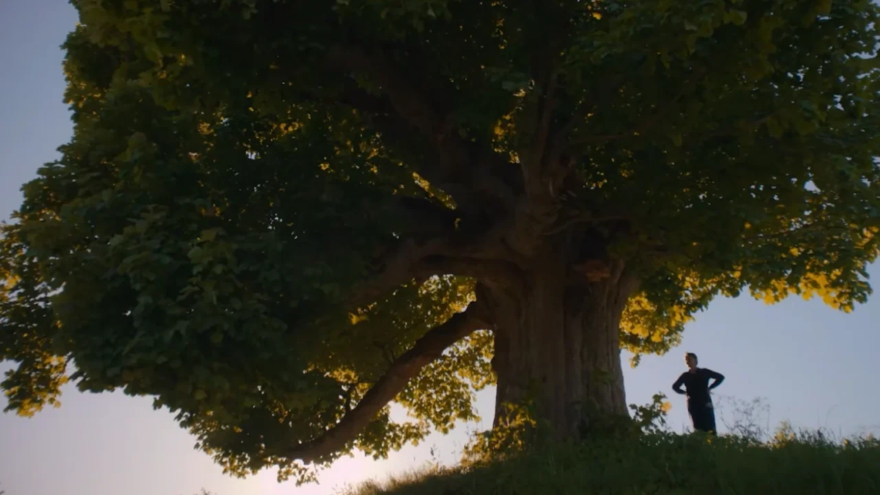 Siluet orang berdiri di samping pohon besar dengan cabang yang menjulur lebar di bawah langit senja