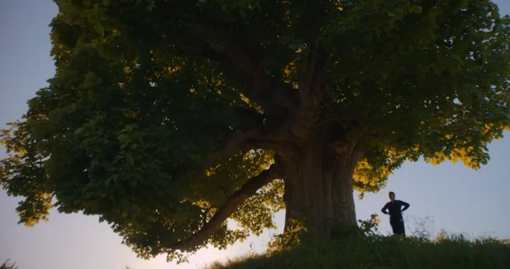 Siluet orang berdiri di samping pohon besar dengan cabang yang menjulur lebar di bawah langit senja