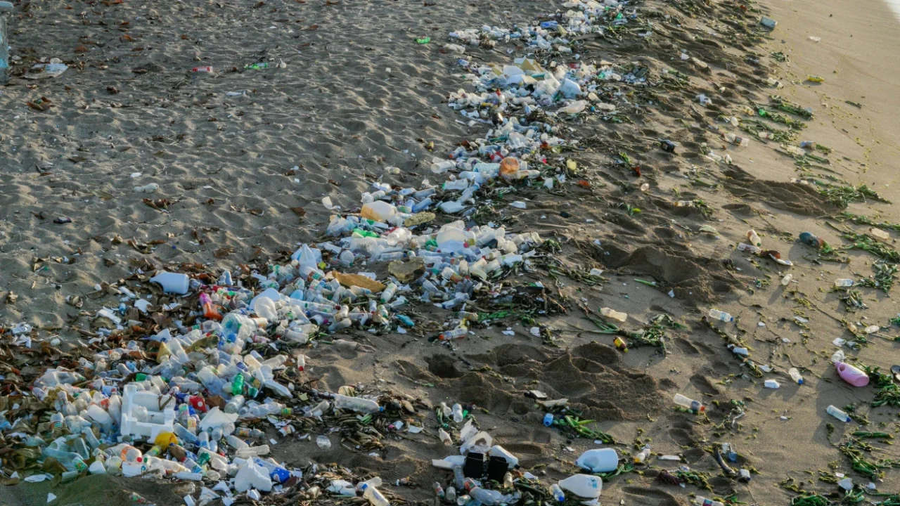 tumpukan sampah di sepanjang garis pantai