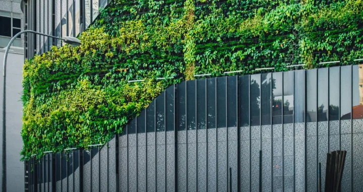 foto sebuah bangunan kaca yang ditutupi tanaman