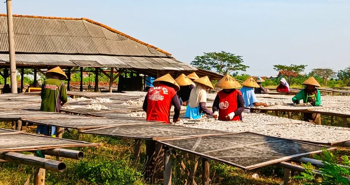beberapa orang dengan penutup kepala bundar sedang menjemur ikan di atas wadah terbuka