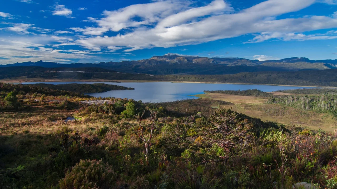 badan air di tengah hamparan rerumputan dan latar belakang pegunungan