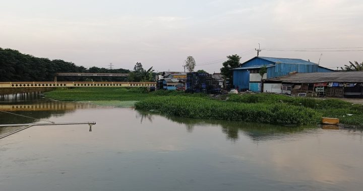 badan air berwarna kehitaman dengan eceng gondok tumbuh liar di pinggir dan latar bangunan penduduk.