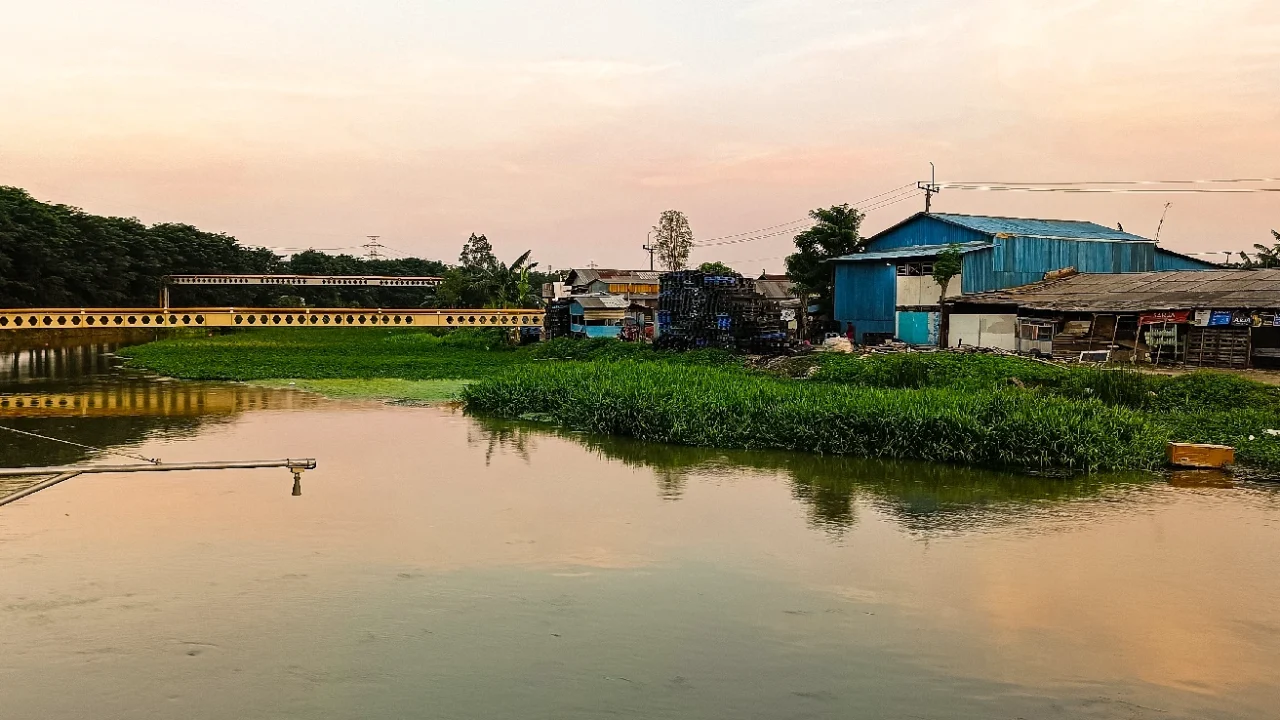 badan air berwarna kehitaman dengan eceng gondok tumbuh liar di pinggir dan latar bangunan penduduk.