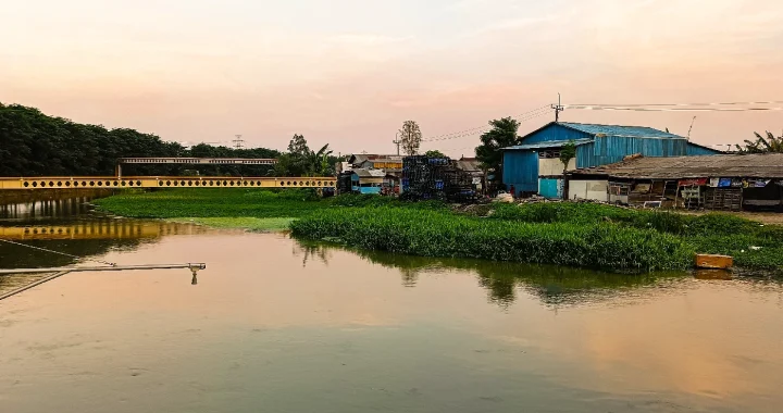 badan air berwarna kehitaman dengan eceng gondok tumbuh liar di pinggir dan latar bangunan penduduk.