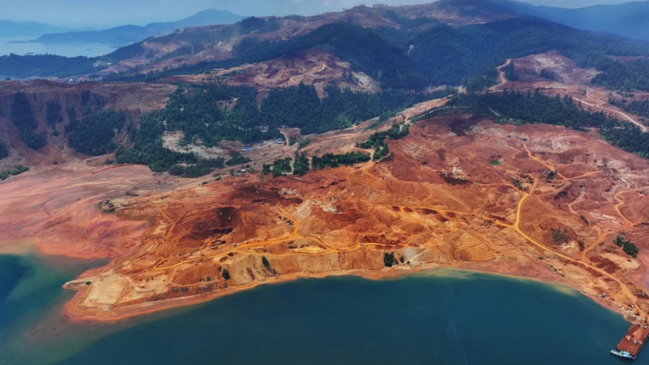 sebuah alat berat berwarna kuning di tengah hutan yang gundul