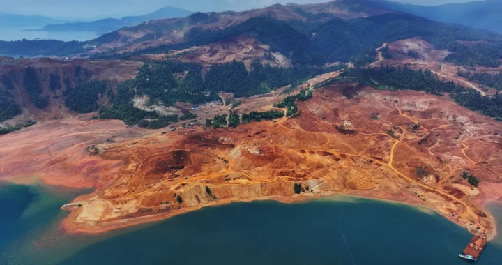 sebuah alat berat berwarna kuning di tengah hutan yang gundul