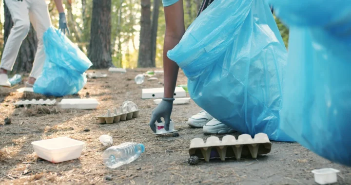 Orang-orang mengenakan sarung tangan mengumpulkan sampah ke dalam kantong sampah biru besar di area berhutan, memungut botol plastik, wadah makanan, dan kardus dari hutan.