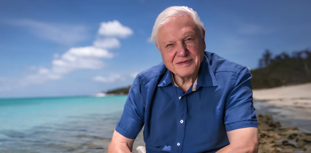 Potret Sir David Attenborough mengenakan kemeja biru duduk di tepi pantai dengan laut biru kehijauan dan langit cerah di belakangnya.