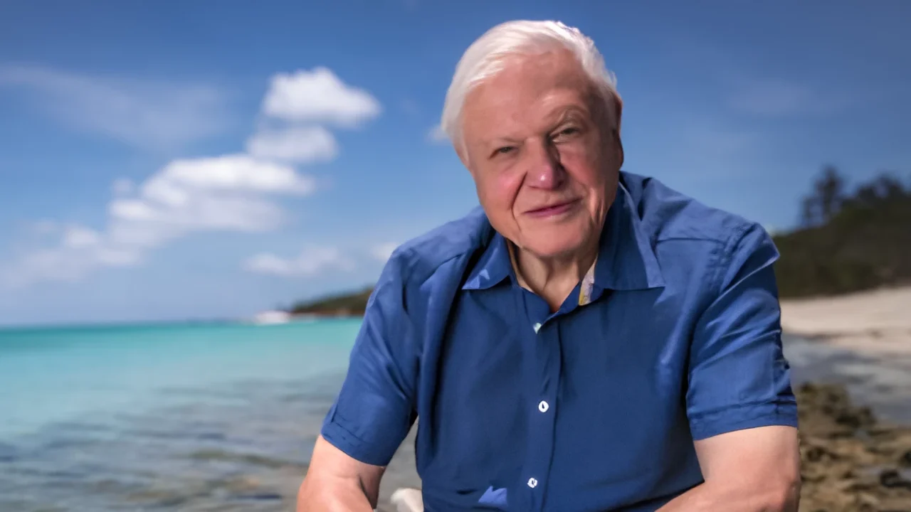 Potret Sir David Attenborough mengenakan kemeja biru duduk di tepi pantai dengan laut biru kehijauan dan langit cerah di belakangnya.