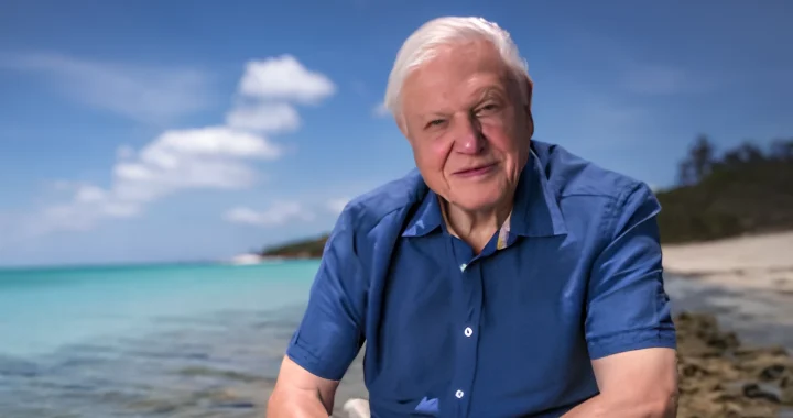 Potret Sir David Attenborough mengenakan kemeja biru duduk di tepi pantai dengan laut biru kehijauan dan langit cerah di belakangnya.