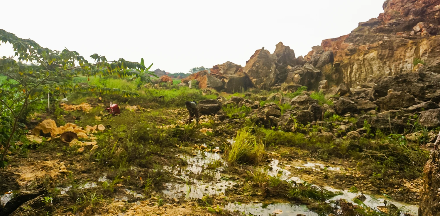 seorang pria membersihkan batu-batu di lahan penuh bebatuan dan genangan air, dengan latar bebukitan di belakangnya.