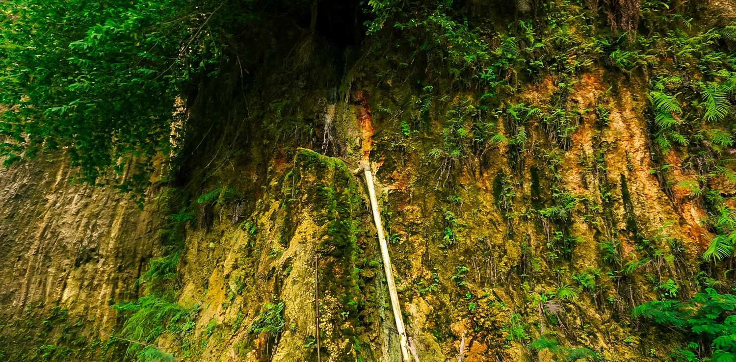 aliran mata air di dinding bukit karst yang ditumbuhi tanaman merambat dan rerumputan dan sebuah pipa berwarna putih menjulur di tengah.