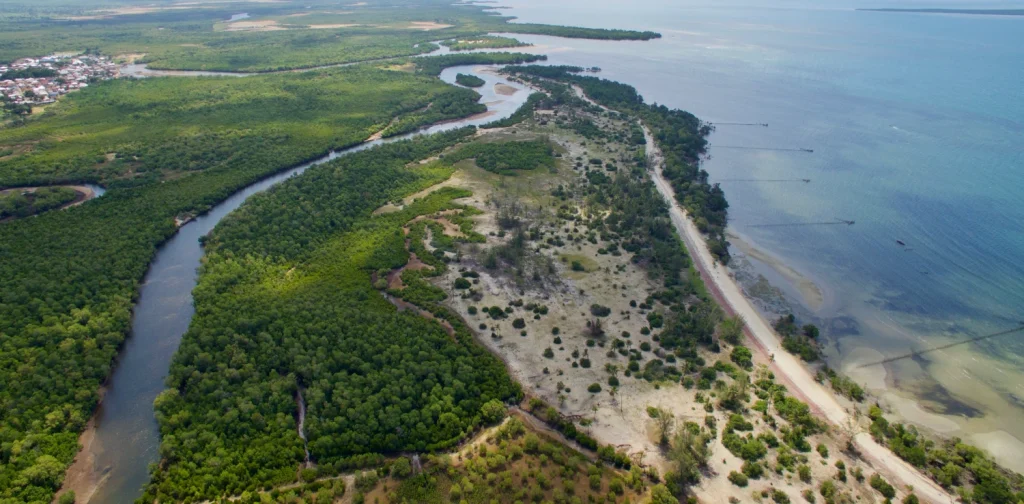 Pemandangan udara Teluk Gazi, Kenya, yang memperlihatkan hutan bakau membentang di sepanjang garis pantai tempat pertemuan dengan Samudra Hindia
