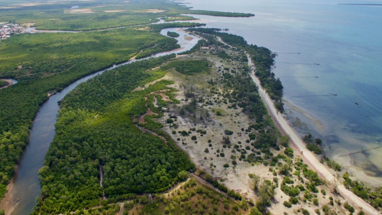 Pemandangan udara Teluk Gazi, Kenya, yang memperlihatkan hutan bakau membentang di sepanjang garis pantai tempat pertemuan dengan Samudra Hindia