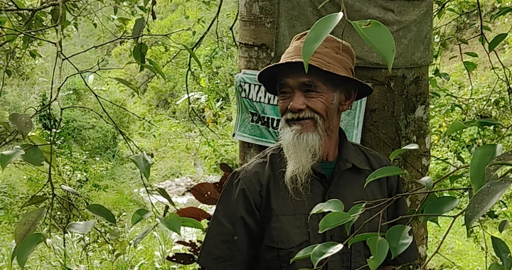 seorang pria tua berdiri di dekat sebatang pohon besar