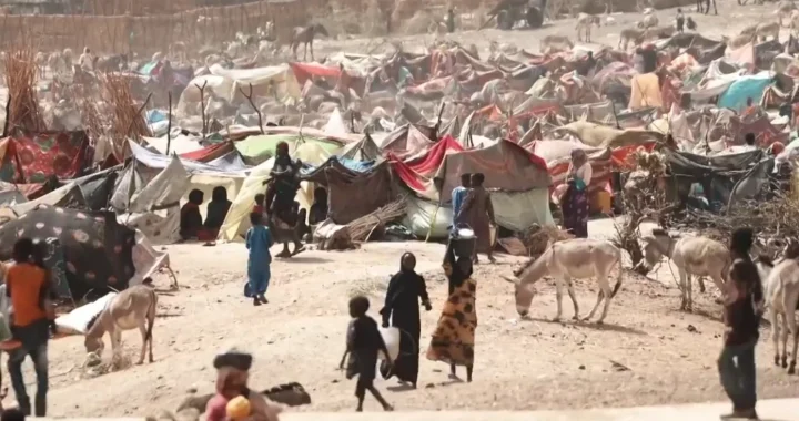 Sebuah kamp pengungsi Sudan di Chad timur, memperlihatkan deretan tempat penampungan bagi keluarga-keluarga yang melarikan diri setelah melintasi perbatasan dari Darfur