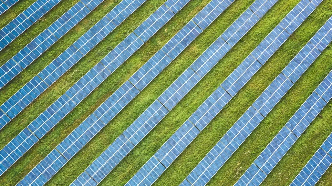 Pemandangan dari atas udara deretan panel surya yang membentang di padang rumput hijau.